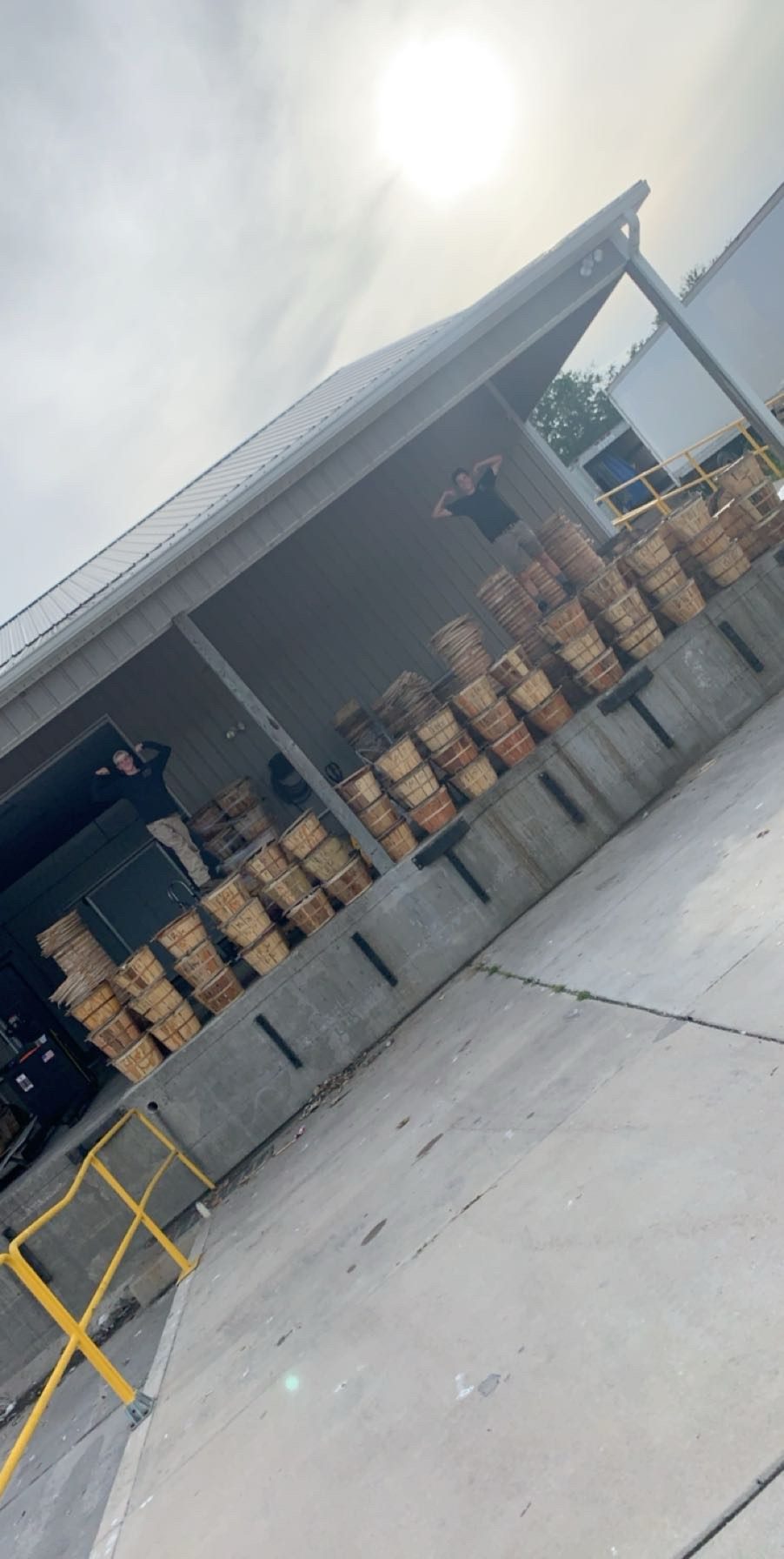 Open bushels of live blue crabs on the dock