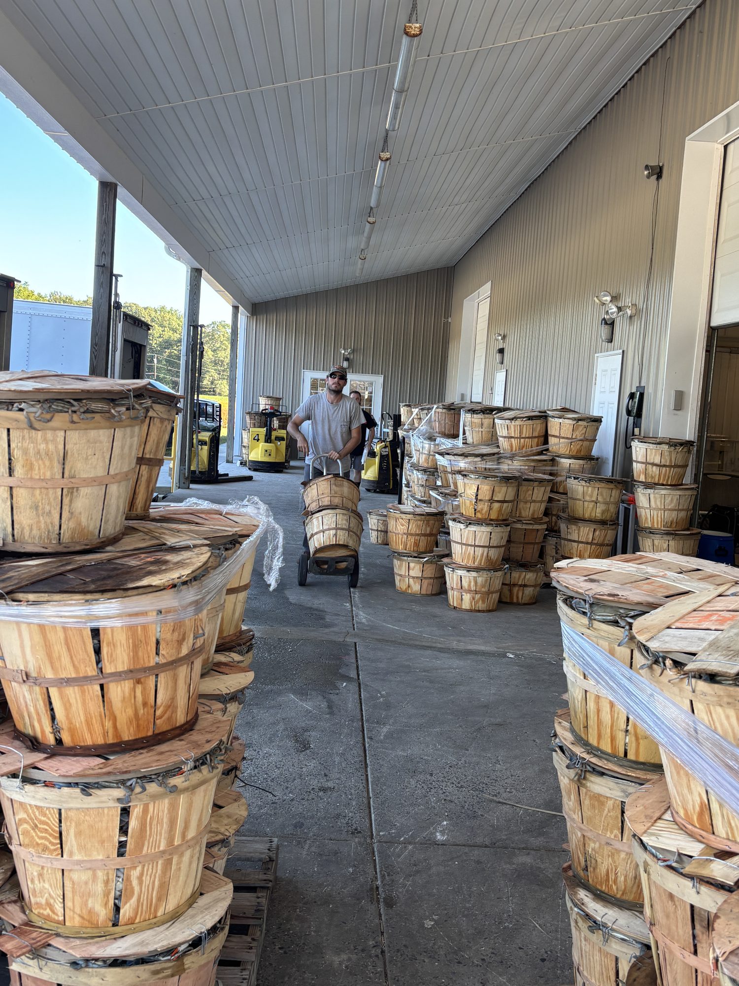 Crew at the dock with bushels of live crabs