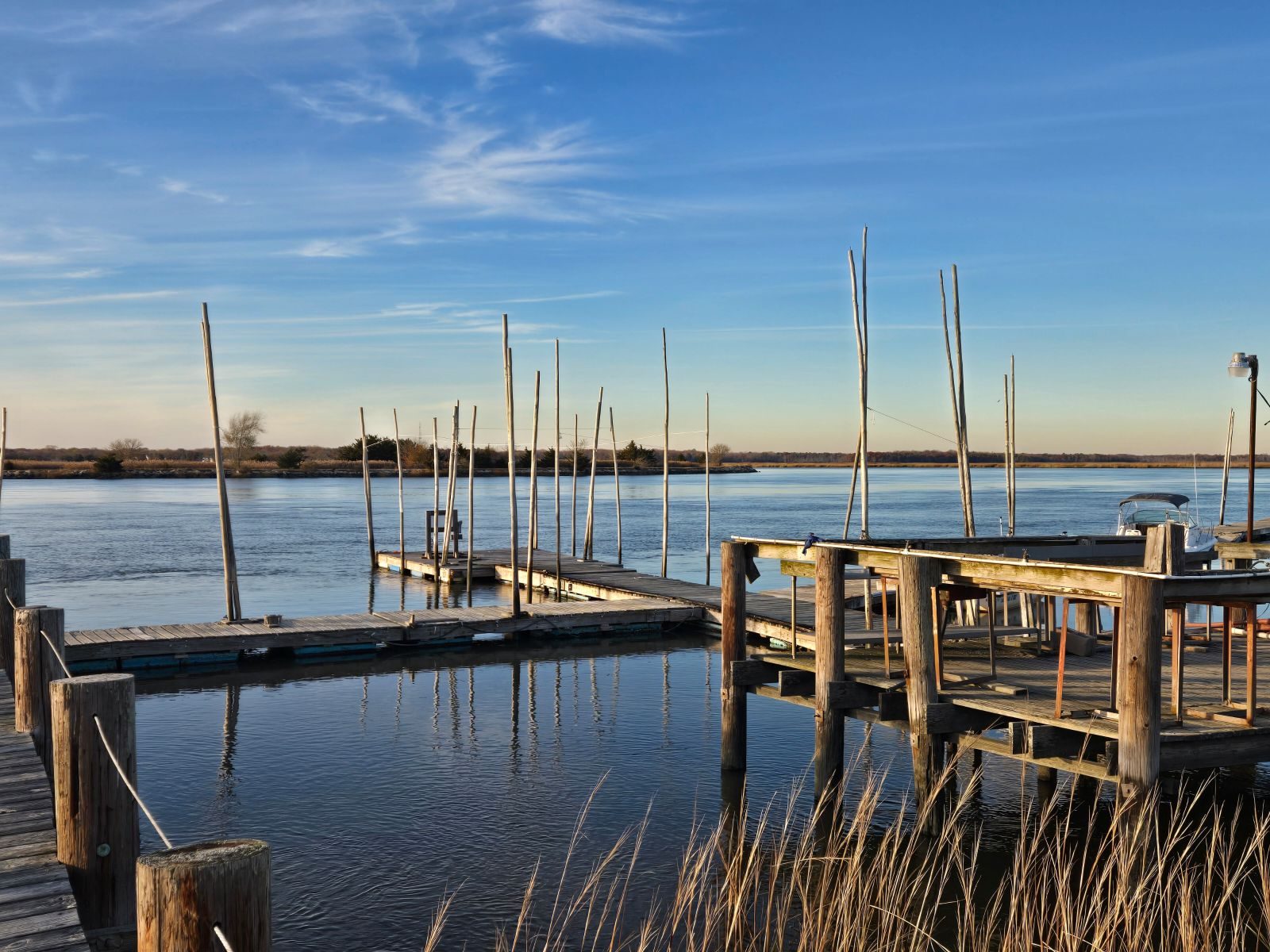 Wooden docks and poles on the Delaware Bay marsh